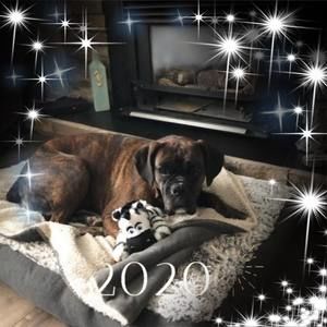 Meet your Posher, Eva